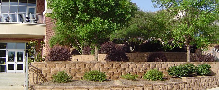 Greenery in front of the dining hall.
